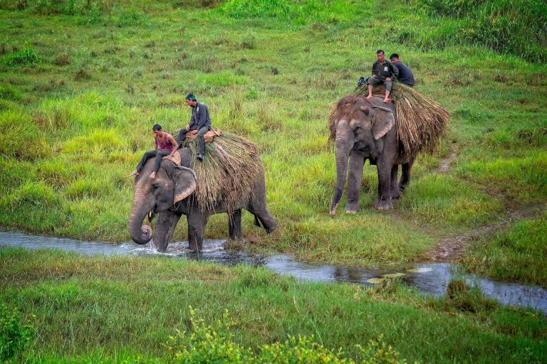 Chitwan National Park, Nepal